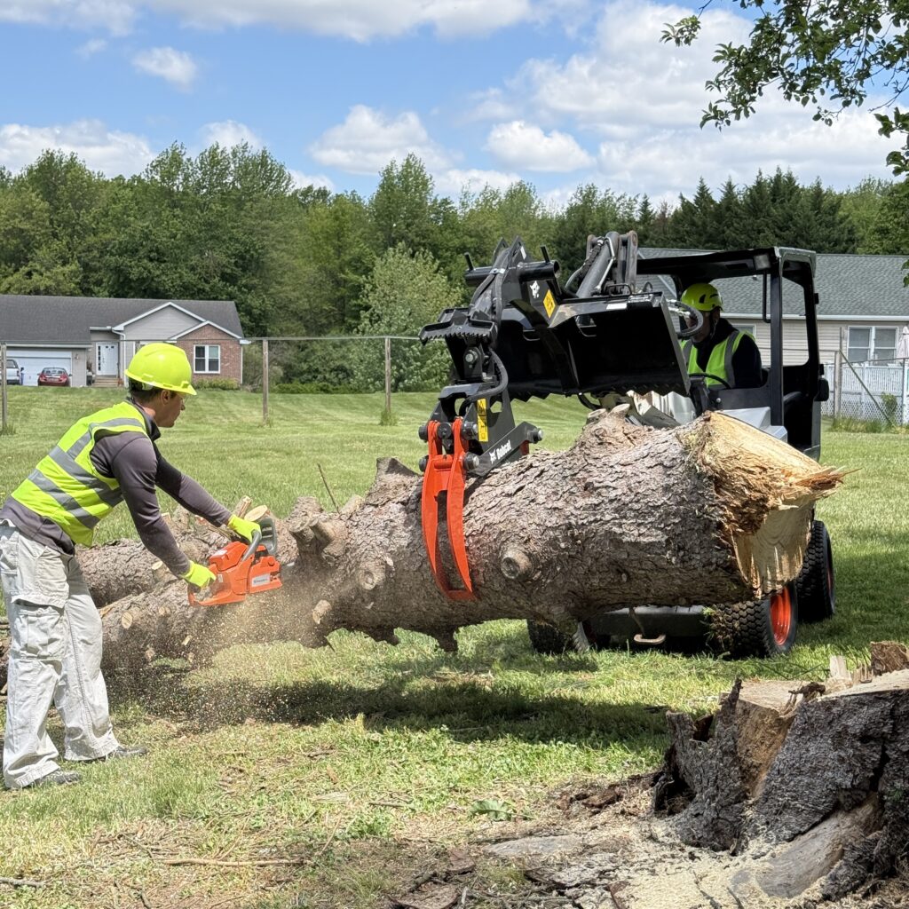 grapple lift cut