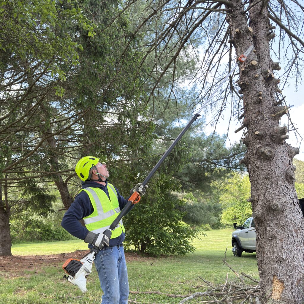 pole saw le